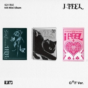 6th Mini Album [I Feel]