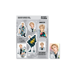 REMOVABLE STICKER SET