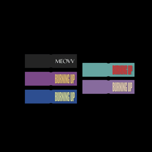 SHOELACE TAG SET