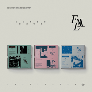 10th Mini Album [FML]